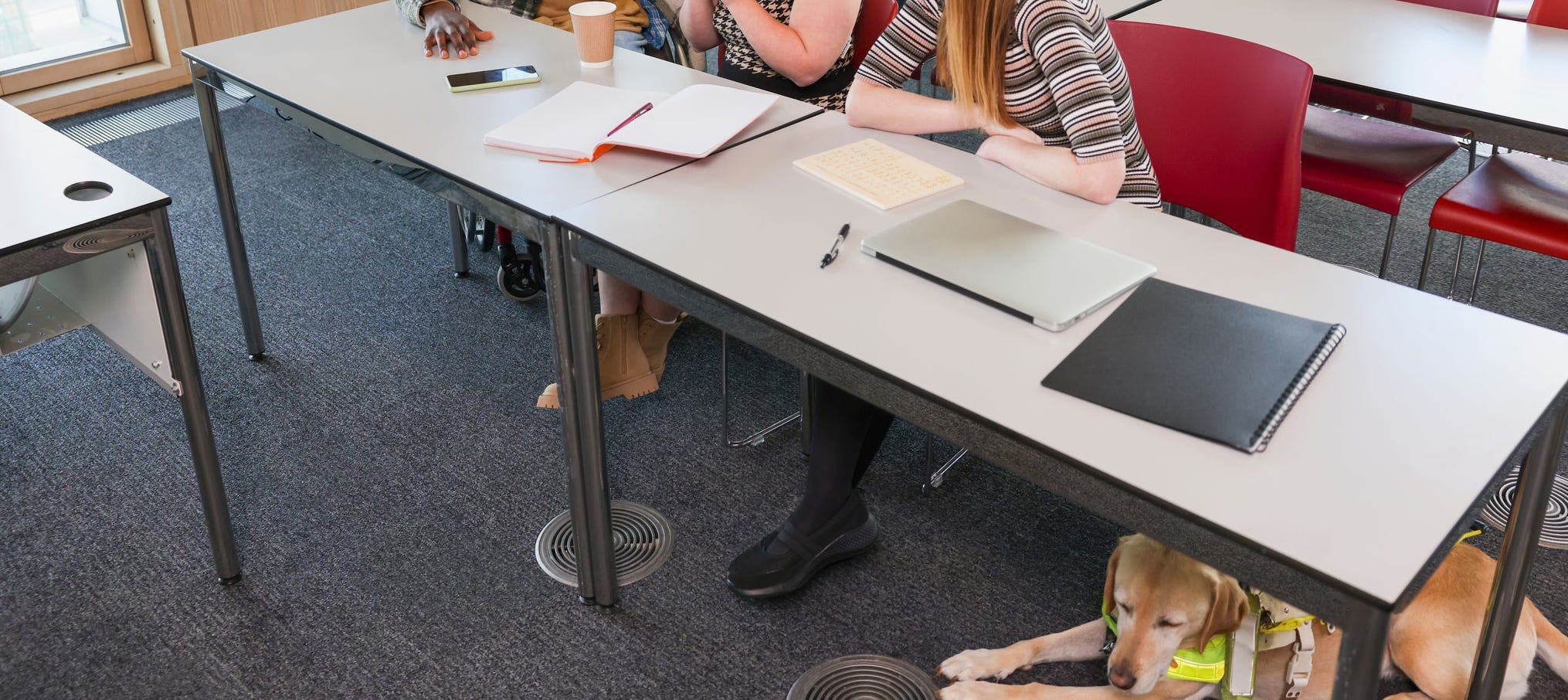 Colleges for Disabled Students