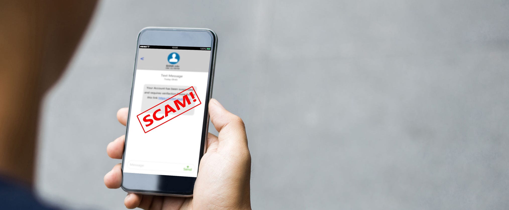 How to avoid handicap van scams 