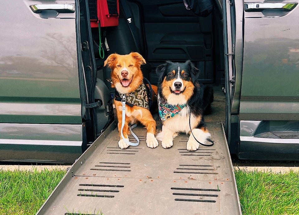 service dogs in wheelchair van