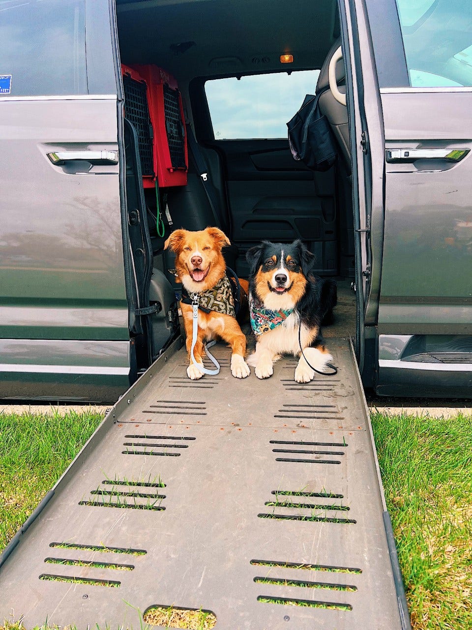 Gabi Johnson honda odyssey wheelchair accessible vehicle and her service dogs