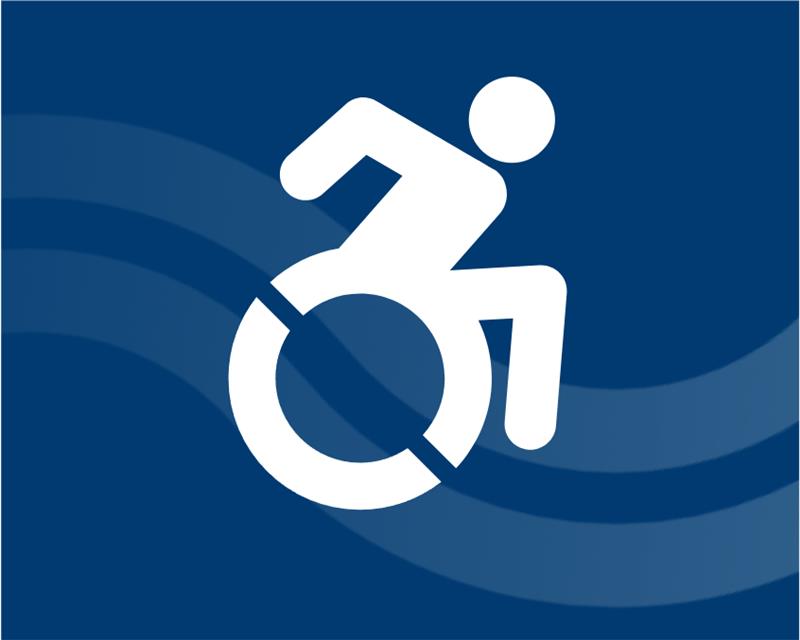 Gold Standard Accessibility
