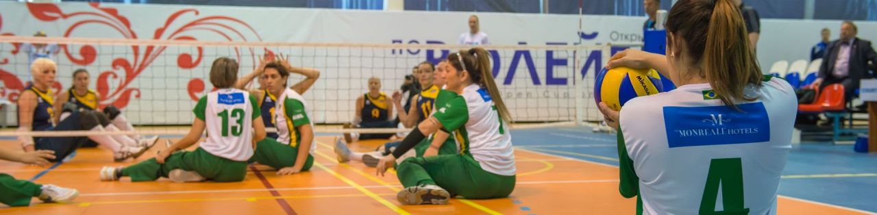 Sitting volleyball players