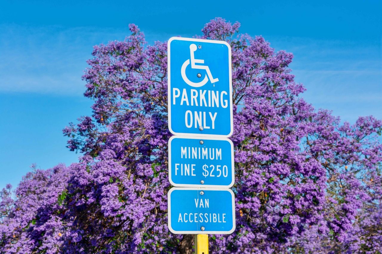 Handicap parking sign against a blue sky with a purple flowered tree framing it