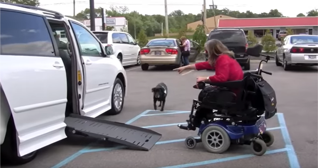 Barbara Reed motions for her service dog to enter an accessible vehicle