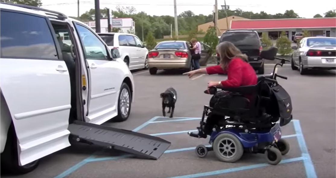 Barbara Reed motions for her service dog to enter an accessible vehicle Barbara Reed motions for her service dog to enter an accessible vehicle