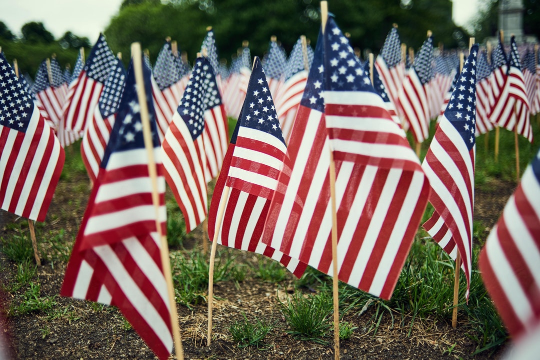 many american flags in grass thanking people for their service